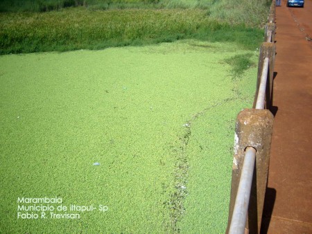 Rio Jaú  Visto da ponte da estrada de terra