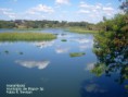 Rio Jaú